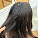 서초중앙로24길 27 (5) 이미지