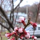 금모래어린이집 이미지