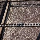 죽림농장 이미지