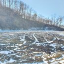 귀촌공인중개사사무소 이미지