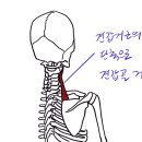 용암형제한의원 이미지