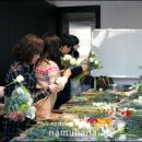 나무하나스쿨