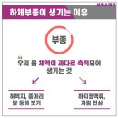 선 에스테틱 - 연수구 송도 | 선 에스테틱