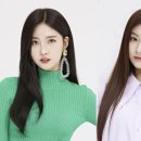 시현 이미지