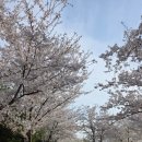 왕송호수공원 | 왕송호수공원 - 레일바이크 추천 후기