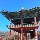 대구 근대화거리와 청라언덕 김광석 길 돌아보다 이미지