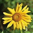 스마일행정사사무소 이미지