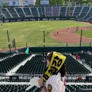 개이쁨 | 2026 KBO 5월 8일 롯데vs기아 야구 직관 후기