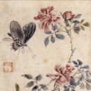 침묵속에피어나는우리 | 장미호접 [ 薔薇蝴蝶 ] - 심사정