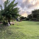 돌담이우다 펜션 이미지