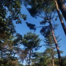 (유)승하 | 백리길 동구릉