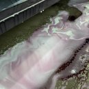 동원손세차장 이미지