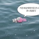 스시덴고쿠 - 동대문구 왕산로 214 | 스시덴고쿠