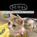 집사의하루 연남점 이미지