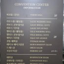 국제웨딩컨벤션(주) | 평택웨딩홀 투어 후기 / 국제웨딩컨벤션 다녀온 솔직 후기 (주차·뷔페·홀 분위기)