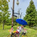 순천만국가정원 저류지주차장 화장실 | 부모님과 순천만국가정원 관람 실제 후기