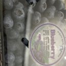 동우농장 이미지