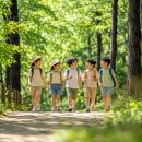 놀이로 배우는 민주주의 | 독박육아 탈출! 창원치유의숲 경남 어린이 숲체험 유아 자연 학습 강추 후기★