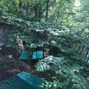 무릉도원 펜션 이미지