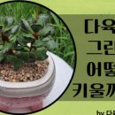 주)그린탑
