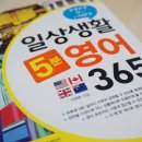 다시 시작하는 영어공부(초급) 이미지