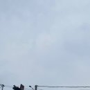 [영어공부]첫 오픽 시험 후기💩 망하는 팁