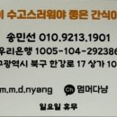 멈머다냥 이미지