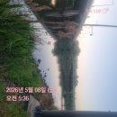 일상평화 | 불규칙한일상을 평화롭게 이노시톨추천 메디트리 이노시톨 후기