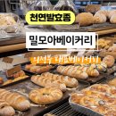 빵모아베이커리 이미지