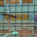 정무철정형외과의원 티스토리