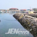 남당알 이미지