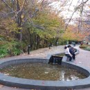 원주시노인종합복지관 이미지