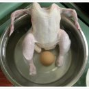자연주의 조산원 네이버블로그