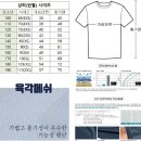 드림코리아 태권도 이미지