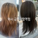 금천구청 | 독산동 미용실 위시 금천구청역점 시온 디자이너 염색 후기