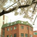 꽃비네 헤어크리닉 | 개금미용실 보색염색 잘하는 이유엔헤어 만족해