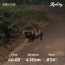 거목빌딩 | 얼레벌레 취준생 11월 첫째 주 일상! 다들 슈퍼문 보셨나요?🌕💫