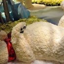 벨라지오 이미지