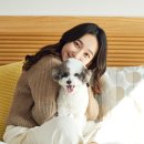 펫하우스 동물병원 네이버블로그