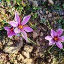 어등농장 이미지