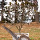 구지농장 이미지