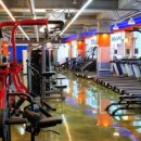 온리스포츠 이미지