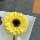 미루다미루다 2-5월 이야기