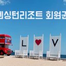 돈사미 이미지