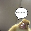 오늘THE이쁘개 | 애(증의)슐리 알바썰