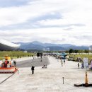 달성 대구현대미술제 이미지