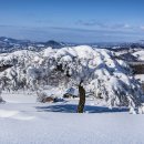 영상목장 이미지