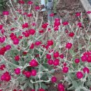 서부농업기술센터 이미지