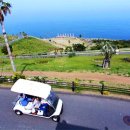 남국목장 이미지