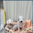 이아이앤테리어 이미지